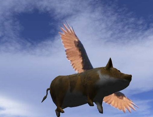 És akkor a kedves érdeklődő le akart vágni egy disznót a kertben…