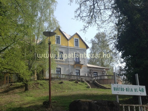 400 nm történelem: eladó az egykori főrendiház tagjának villája