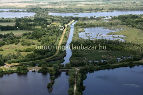 450 millió forintért éjjel-nappal halpedikűröztethetünk!