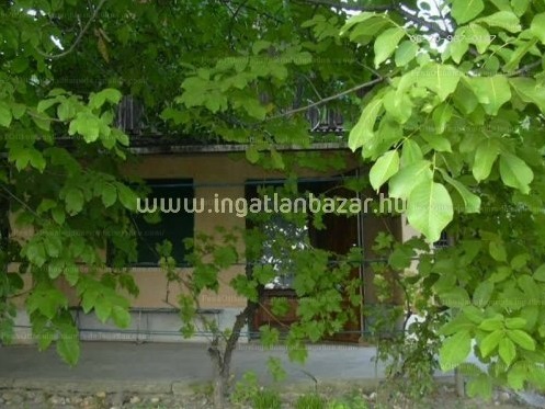 BKV-val a saját szüretünkre? Igen!