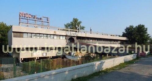 Kultikus disco várja megmentőjét!