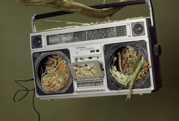 A világ 10 legmenőbb madáretetője