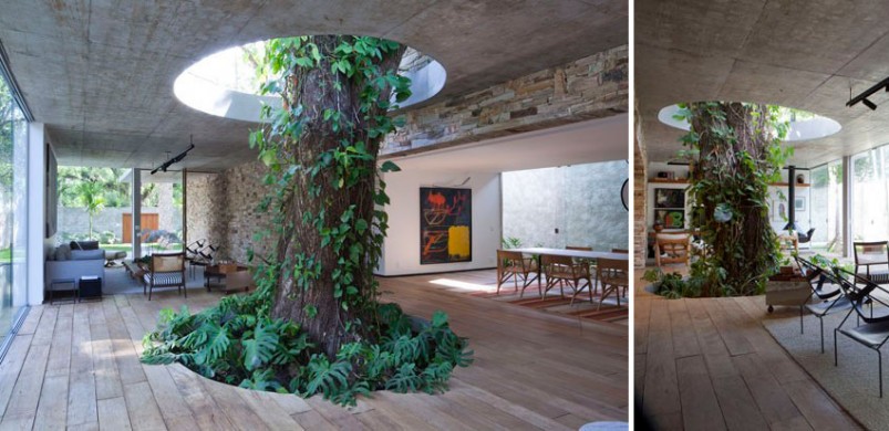 11 épület, amely tiszteletben tartotta az „útjában álló” fákat