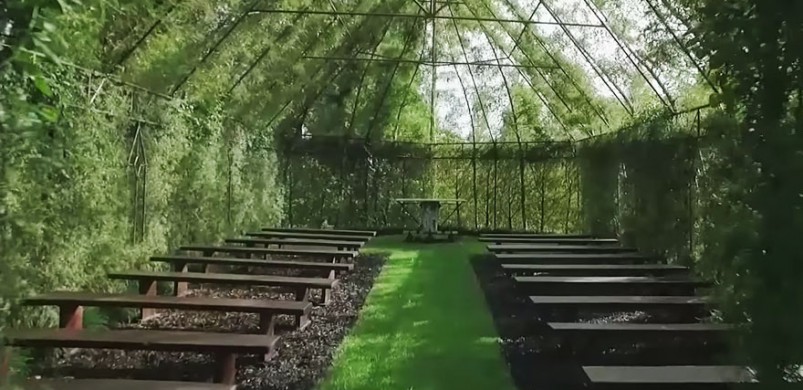 Az ember, aki 4 év alatt növesztett fákból templomot saját kertjébe