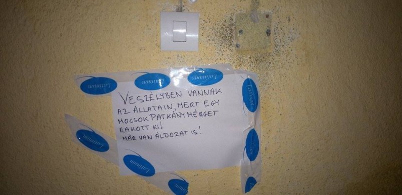 Egy tragikus lépcsőházi üzenet: macska gyilkosság!