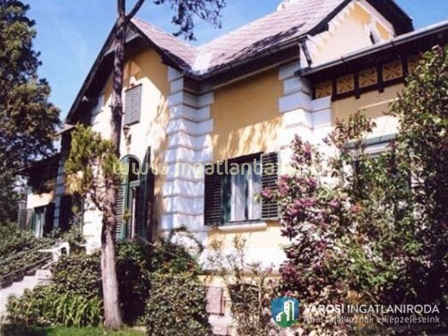 Úri villa dunai szigeten eladó!