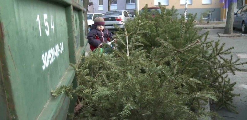 Keressük minden idők leglustább Karácsonyfa tulaját!