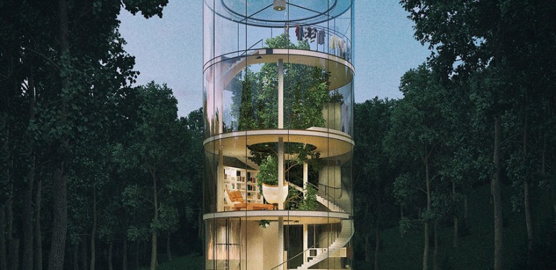 Internetes vitatéma a fa köré tervezett ház