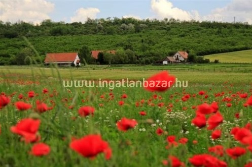 A hét háza: lenyűgöző otthon Vácegresen, 159 millióért!