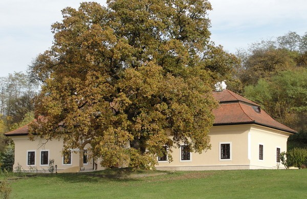 Szereti a romantikát? A Záhorszky kúria erdővel eladó.