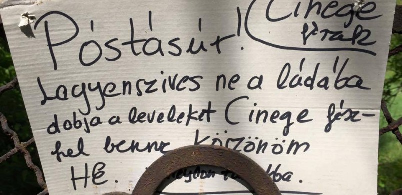 Pünkösdi cetliháború: 9 új döbbenetes üzenet a lépcsőházban