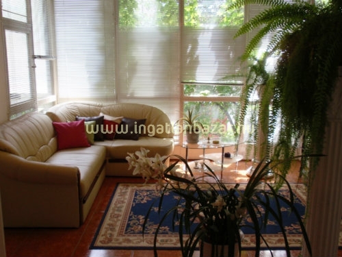 Foci VB-vel hirdetett ház: merjünk nagyot álmodni?