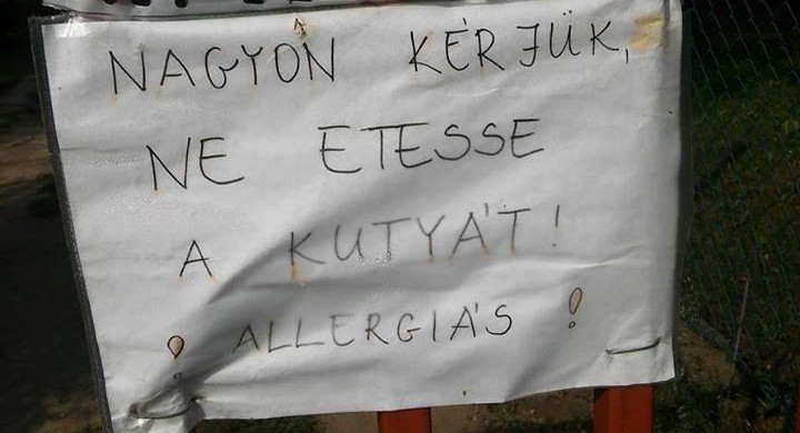 Lépcsőházi üzenetek 1 000 000. rész