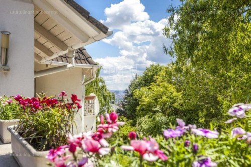 A hét ingatlana: fény és színek, na meg a jó fotók!