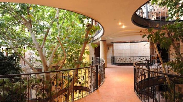 Fakivágás helyett egy építész inkább csodát művelt!