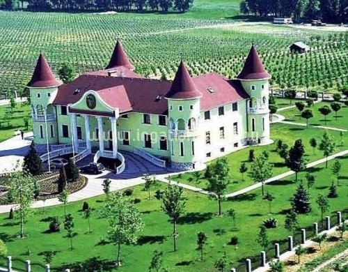 Elkelt végre Kádár János egykori sofőrjének csömöri kastélya?