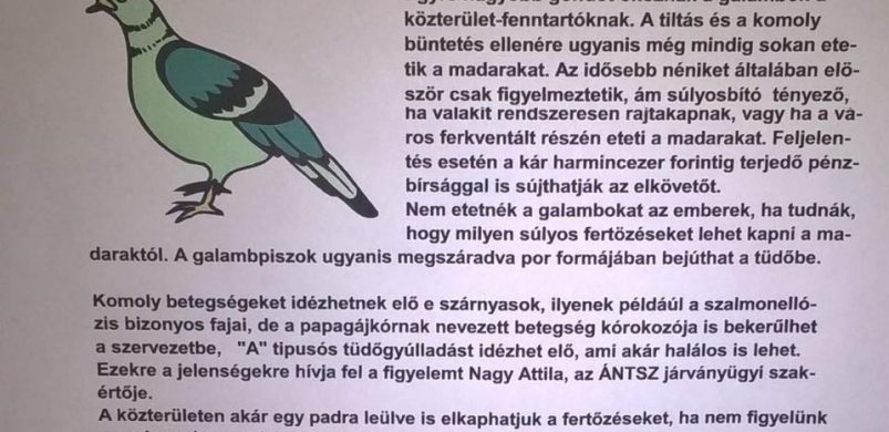 Lépcsőházi üzenetek, nagyon sokadik rész