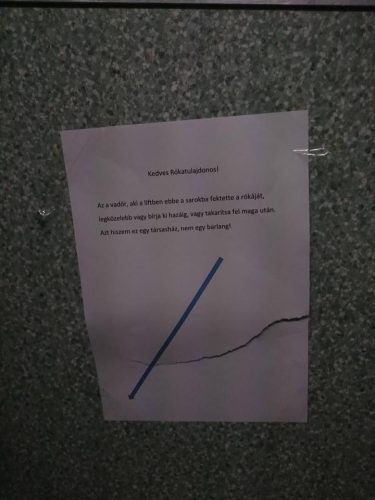 15355844_621394358047504_90276164251102208_n