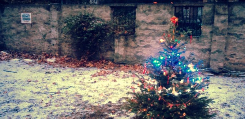 Lépcsőházi anyázás helyett meglepetés várta egy ház lakóit!