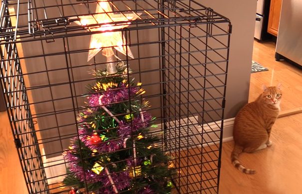 Karácsonyfa-gyilkos háziállatok elleni védelmi módszerek. Nagyon komoly tartalom.