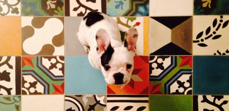 Magyar siker rovat: ámulatba ejtő elegancia burkolólapokba öntve!