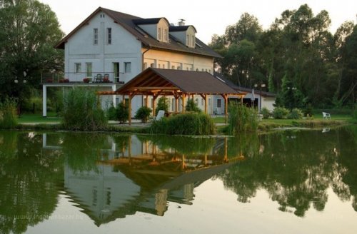 Egy pazar birtok víz- és természet imádóknak: Zalavár élménybirtok!