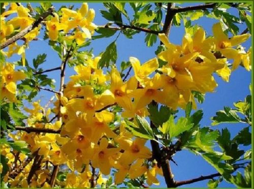 474001_905377845_big