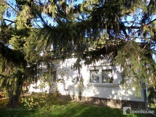 Füle: Bajor és Koós kedvenc pihenőhelyén nézelődtünk