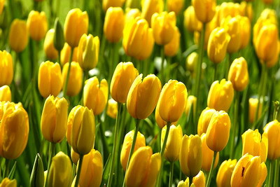 www-tvn-hu_5cbd7aba2fa7272d2dbd9dd66c517f44