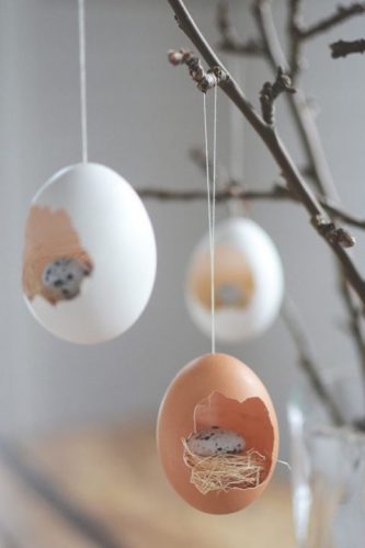 egg-nest-skonahem