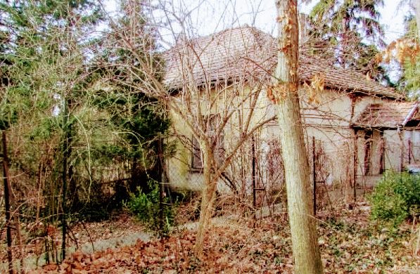 Így fest egy nagyváros kellős közepén álló, 61,8 milliós kísértetház