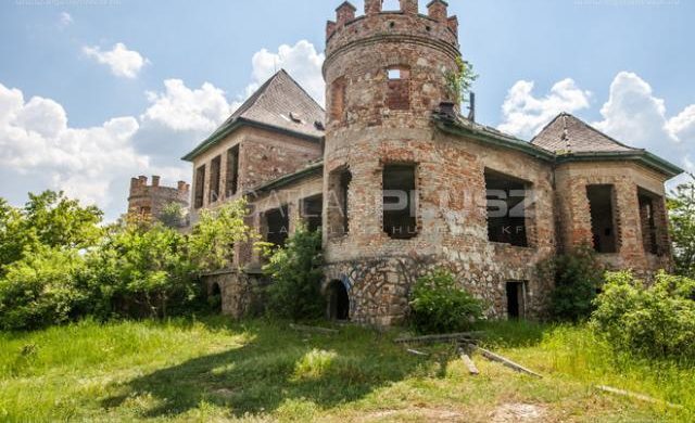 Kis magyar valóság: egy eladó, ragyogó kastély, teljesen lecsupaszítva