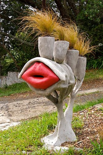 KONICA MINOLTA DIGITAL CAMERA