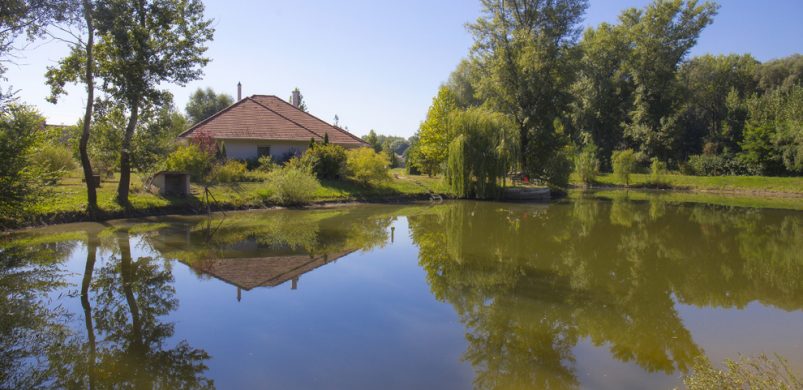 Ó, ha a karácsonyt a saját tavunkon korcsolyázva tölthetnénk…