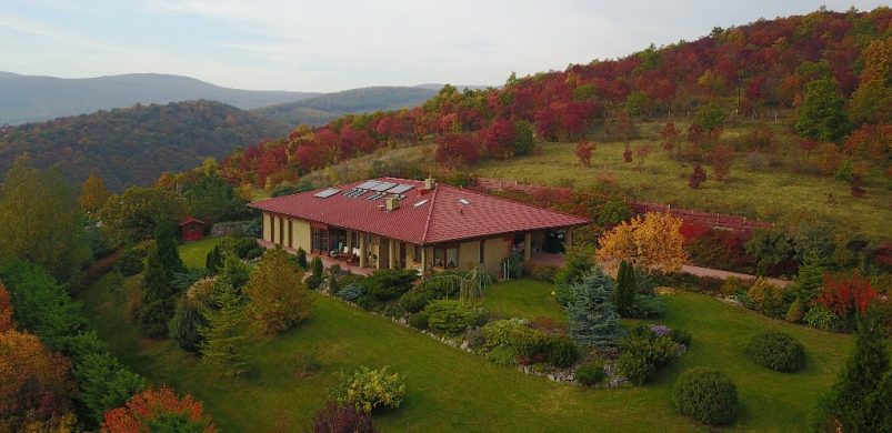 Házat ennél jobb kilátással idén már nehezen talál! Ajánlat drónvideós tárlatvezetéssel!