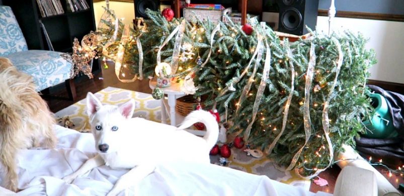 Ha az Ön otthona nem így néz ki, boldog a karácsonya! Kobold Barkácsonyt!