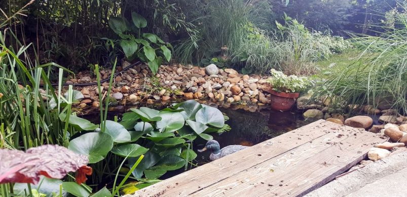 A hét ingatlana: „diósdi álomotthon”