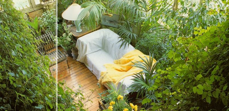 Ebben az elviselhetetlen szürkeségeben csak egy dolog segít: a növények!