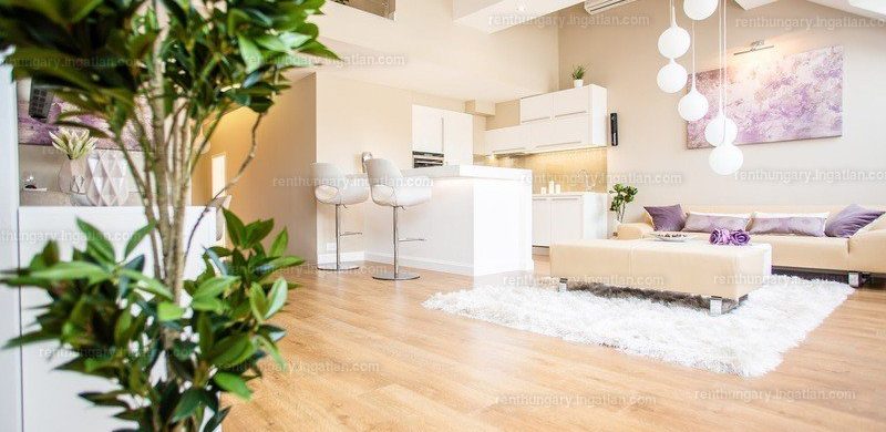 Ilyen egy havi 784 ezres albérlet a Terézvárosban. Pazar!