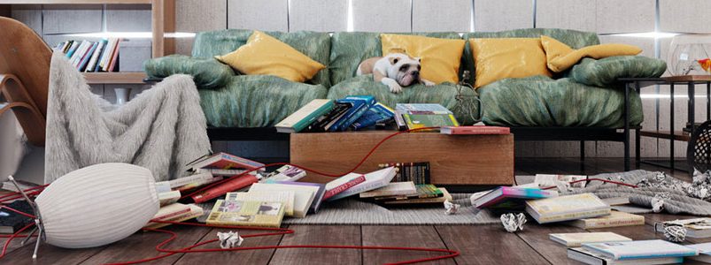 Lakások buli másnapján, ahonnan inkább elköltöznénk, mint rendet raknánk