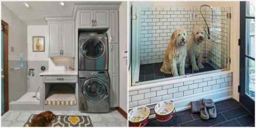 season episode shower joanna gaines and house seasonsrhpinterestcom season Home Dog Wash Station episode dog shower joanna gaines and house seasonsrhpinterestcom piquant