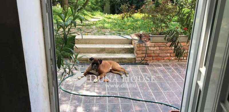 Kis lakás, nagy terasz. Mindez a csendes Tapolcsányi utcában, a Rózsadombon!