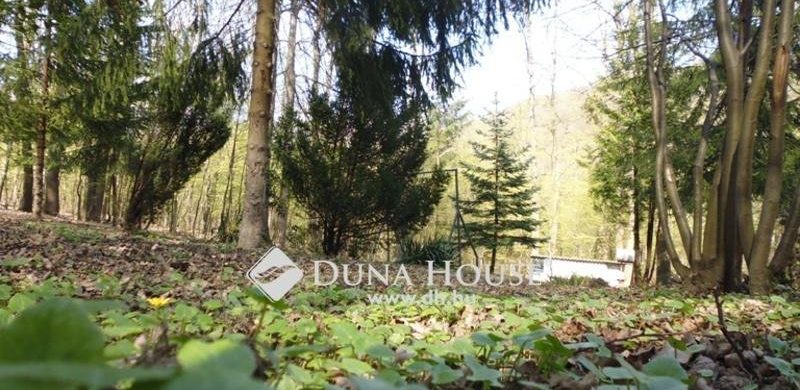 Az előrelátó hirdető: havas, téli és napsütéses, nyári fotók ugyanarról az ingatlanról!