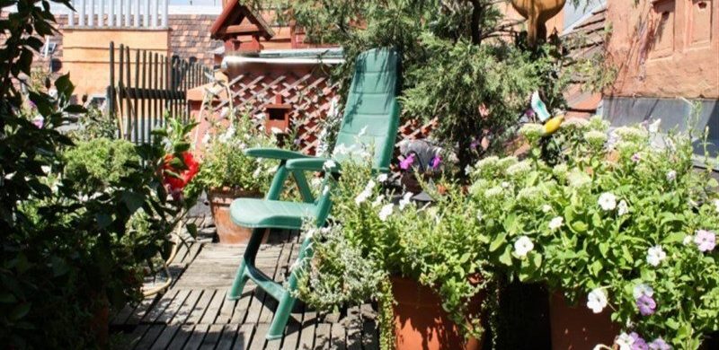 Két oázis Budapest belvárosában: rejtett, privát „zöldövezetek” a VI. és VII. kerületben!