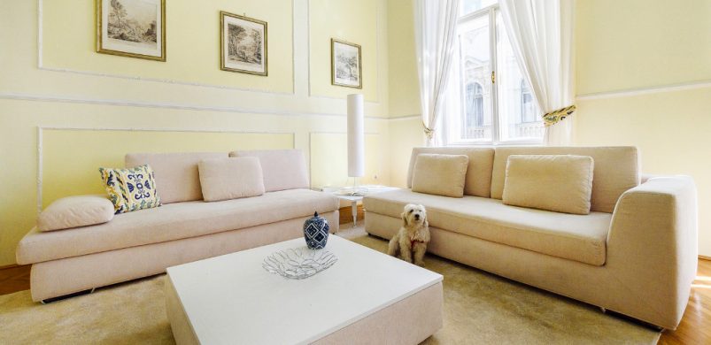 A hét ingatlana: kutya egy jó lakás a Lipótvárosban!