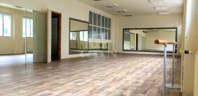 Úgy fest, kihaltak a balerinák a IX. kerületi, 183 nm-es stúdióból