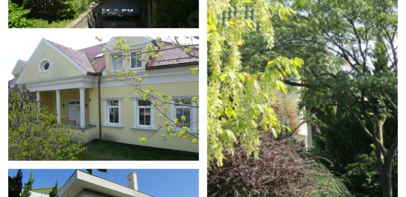 Mi folyik Érdligeten? Egy hely, ahol a minőség az új (és kifizetődő) divat!