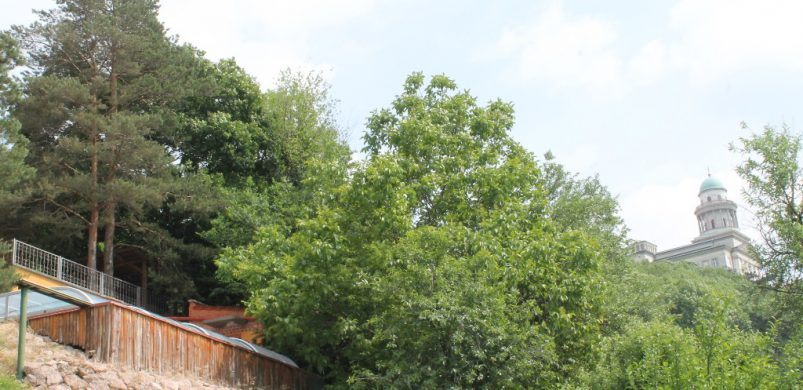 Pannonhalma legszebb háza, karnyújtásnyira az apátságtól, örökpanorámával eladó!