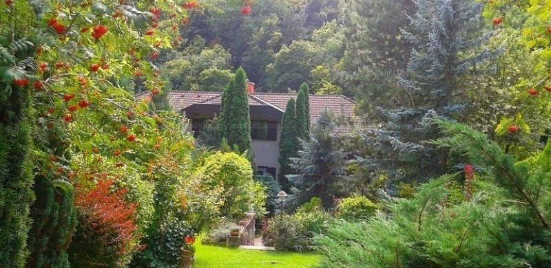 Családi ház 100 millió alatt Budán? Igen! Ráadásul az a fürdőszoba…