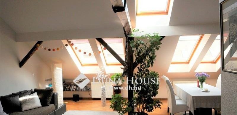 Elegancia és „magas élet” a Tímár utcában, az Óbudai Egyetemi parknál